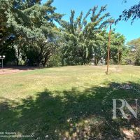 Venda de Apartamento em Pirituba Portal dos Bandeirantes Jardim Íris São Paulo em São Paulo-SP