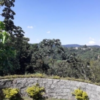 Casa em Condominio Fechado a venda em São Paulo em Serra Cantareira